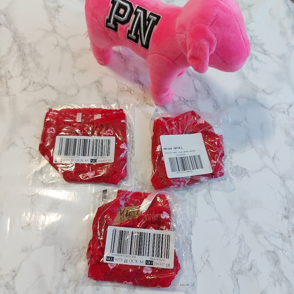 PINK VS PINKWEAR EVERYWHERE LACE CHEEKSTER - Picture 3 of 5